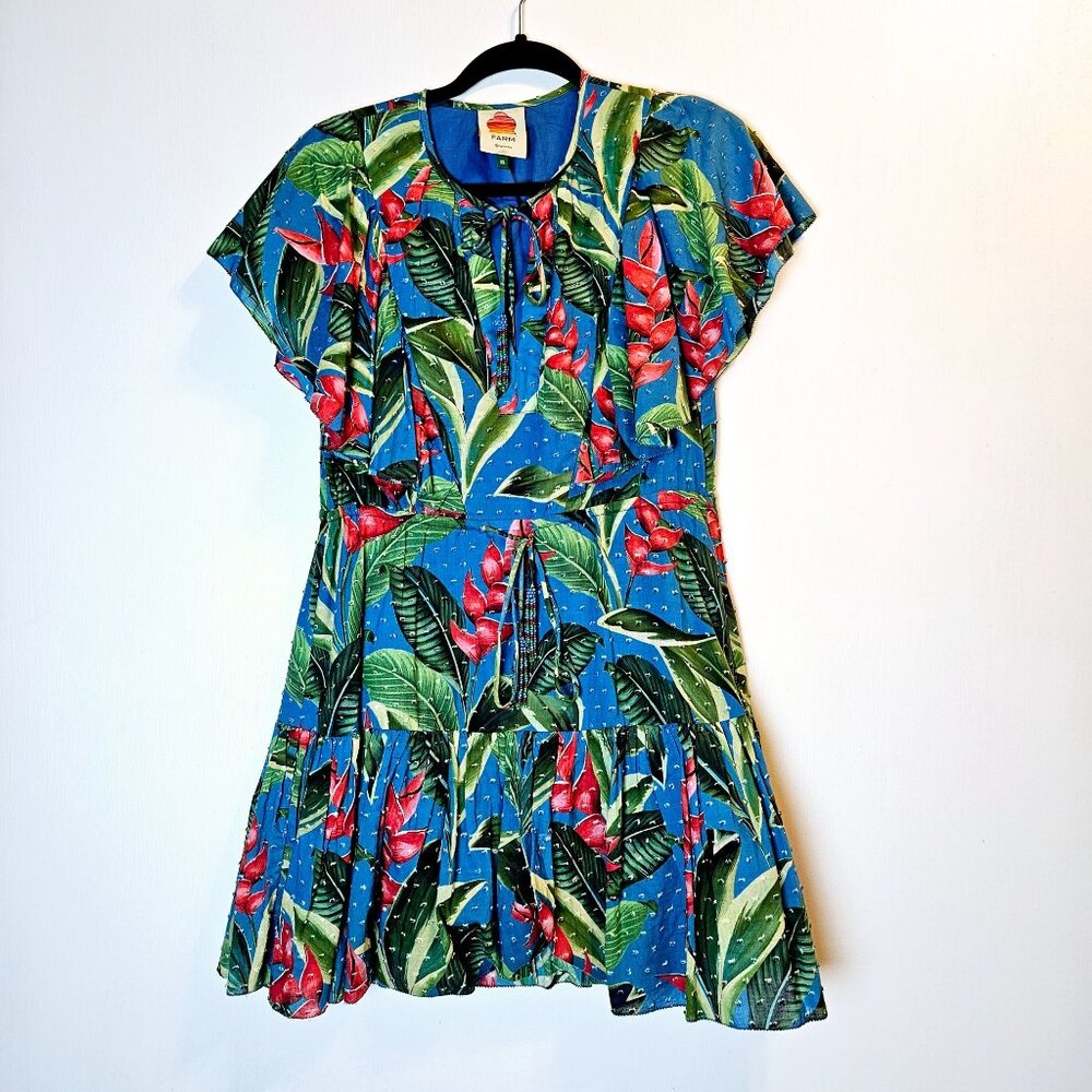 Farm Rio Dream Garden Floral Mini Lined Dress Swiss Dot Beaded Tassles, Sz XS - Picture 3 of 12